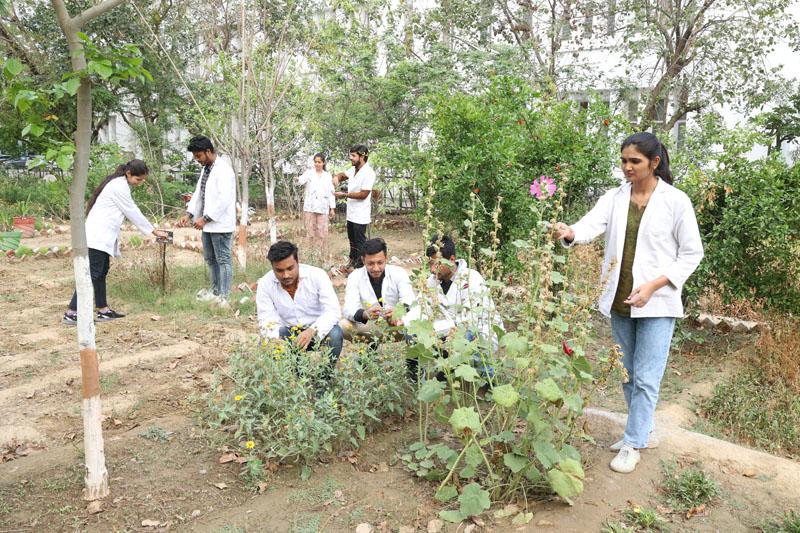 Practical Labs