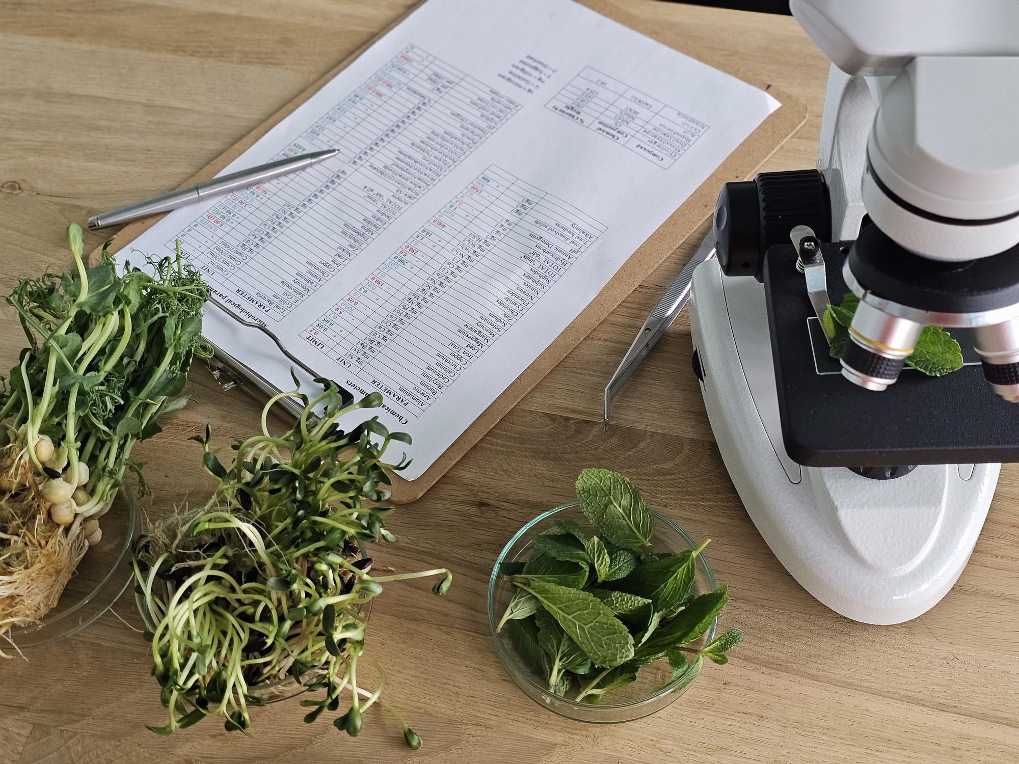 Practical Labs